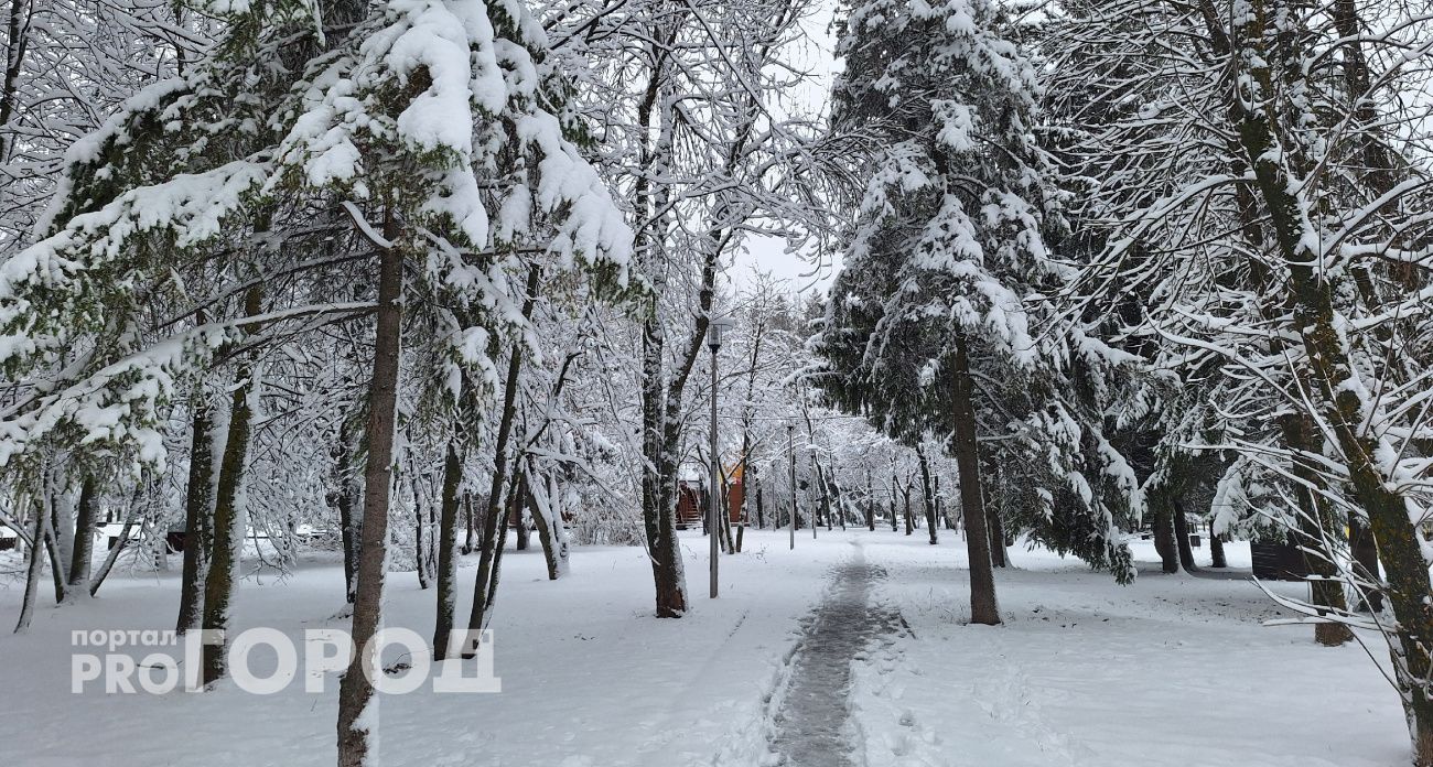 В пятницу Чувашию накроет мокрый снег с дождем, потеплеет до +1