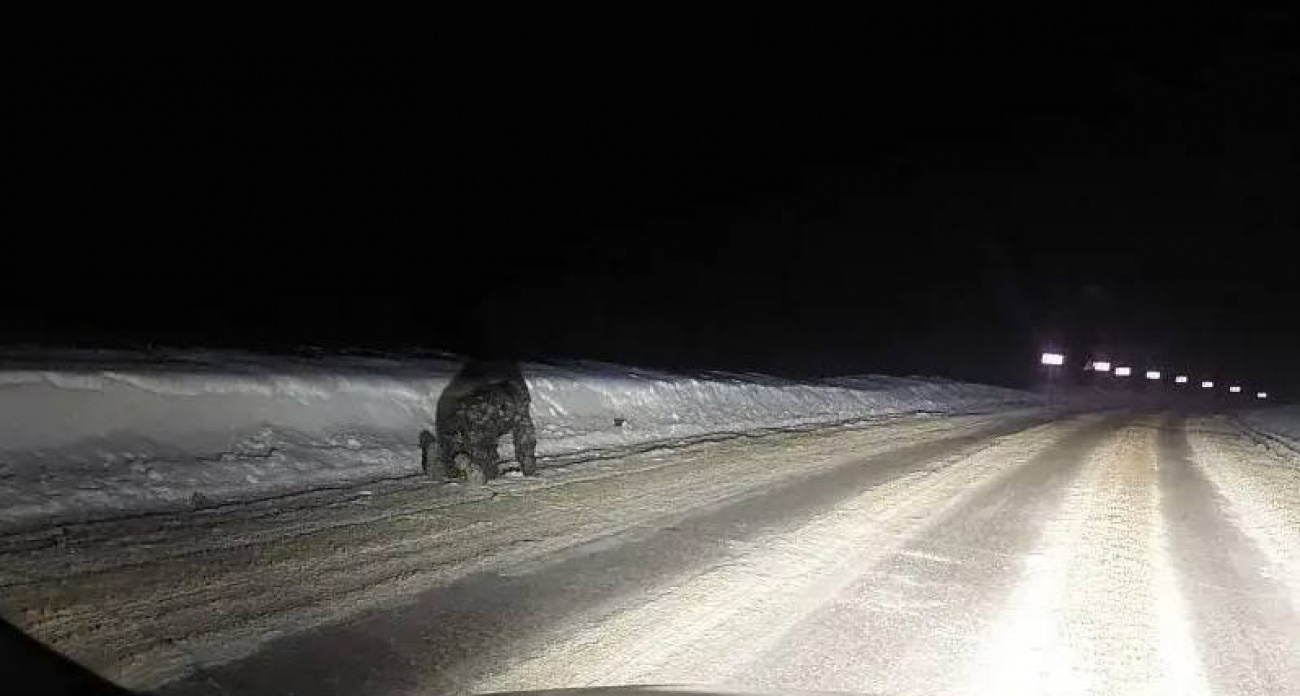 Инспекторы ГАИ нашли на трассе в Чувашии ползущего на коленях мужчину