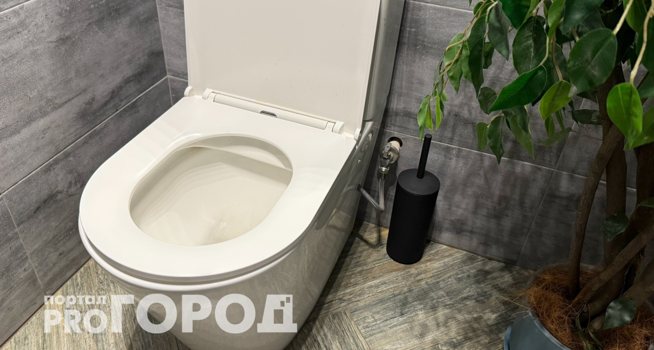 Вы садитесь на унитаз неправильно: в Японии давно сидят на туалете лицом вперед 