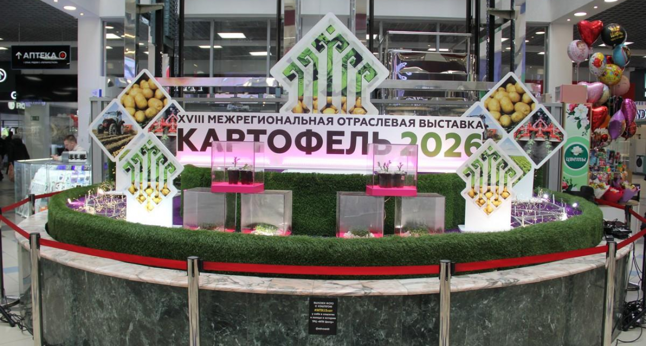 Чувашия вложила 100 млн в картофельную революцию