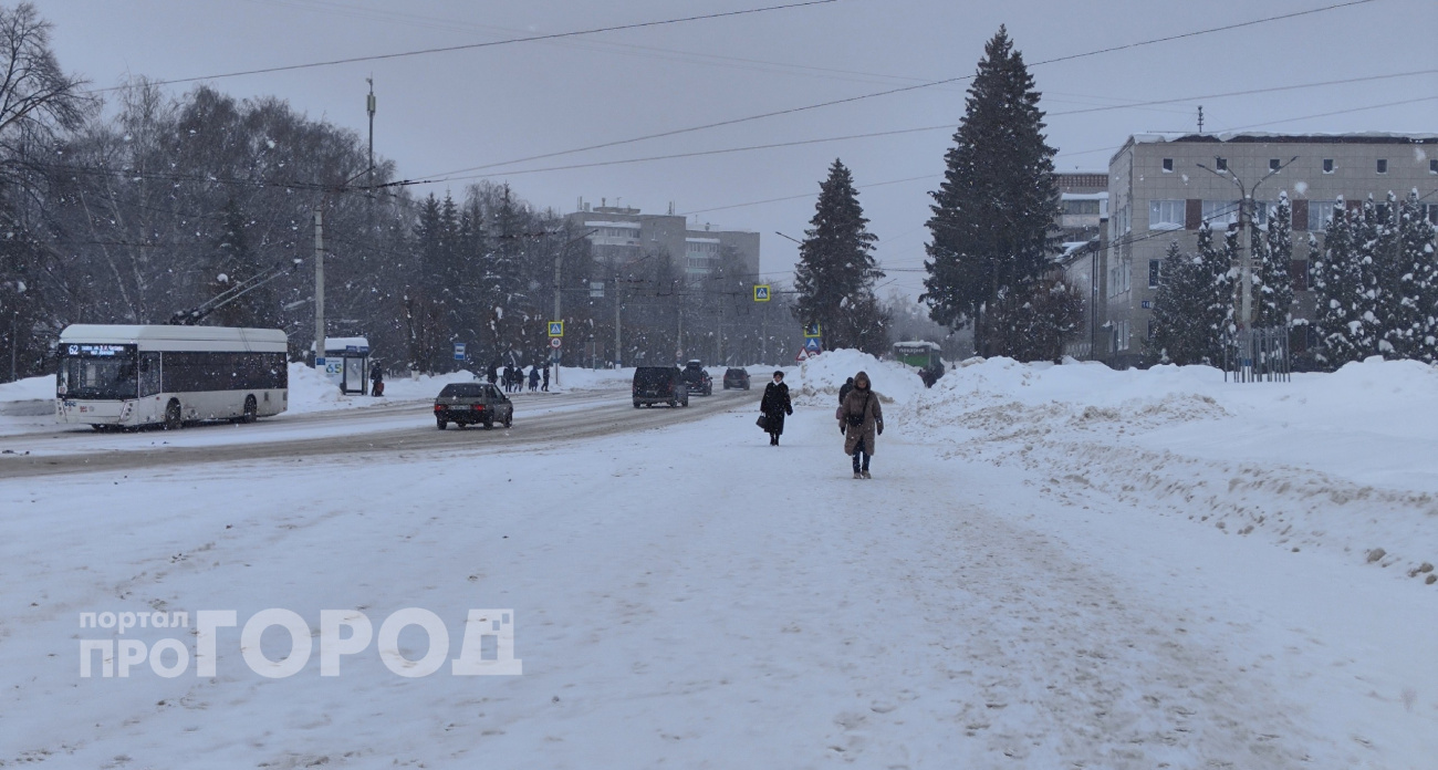Зима держится изо всех сил: завтра в Чувашии снег и мороз