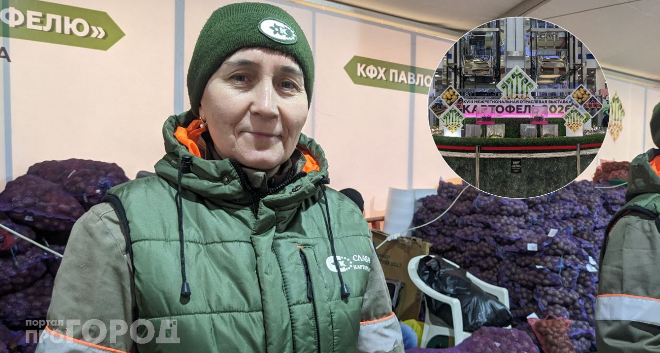 Десятки тонн картофеля продали в Чебоксарах за два дня: как прошла ярмарка и что на ней можно было найти, кроме картошки
