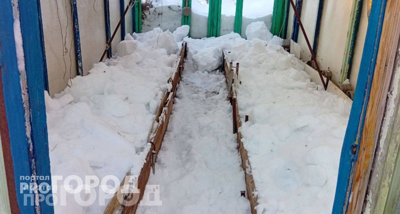 В марте обязательно наполняю теплицу снегом: земля отблагодарит богатым летним урожаем