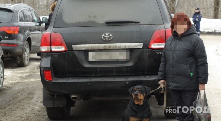 События России: в Нижнем Новгороде собаки откусили голову хозяйке, а в Сыктывкаре девушку увезли из клуба на машине реанимации