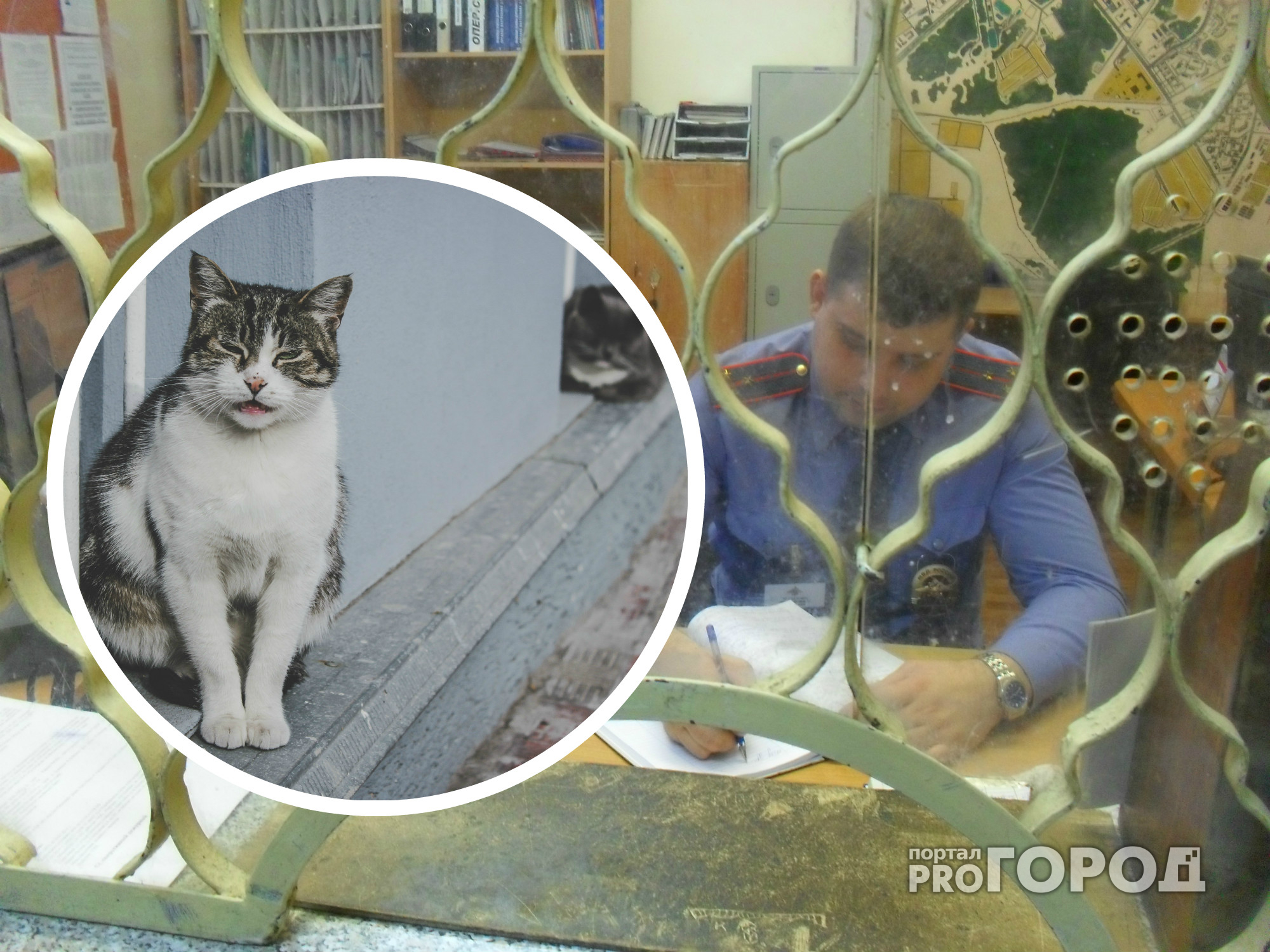 В Чебоксарах участковый Мышов спас от смерти 15 кошек