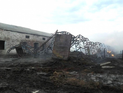 В деревне Мокры на ферме случился крупный пожар