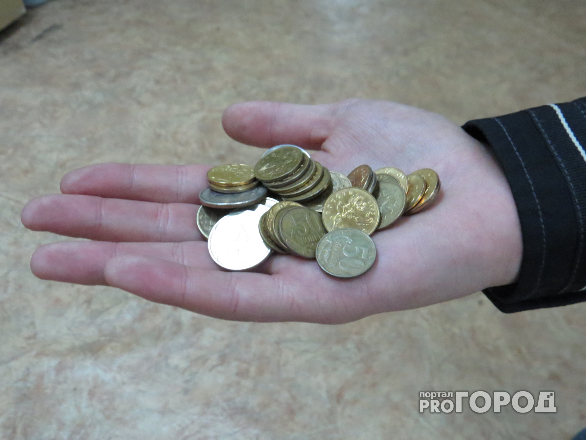 В Чувашии прожиточный минимум стал больше на 102 рубля