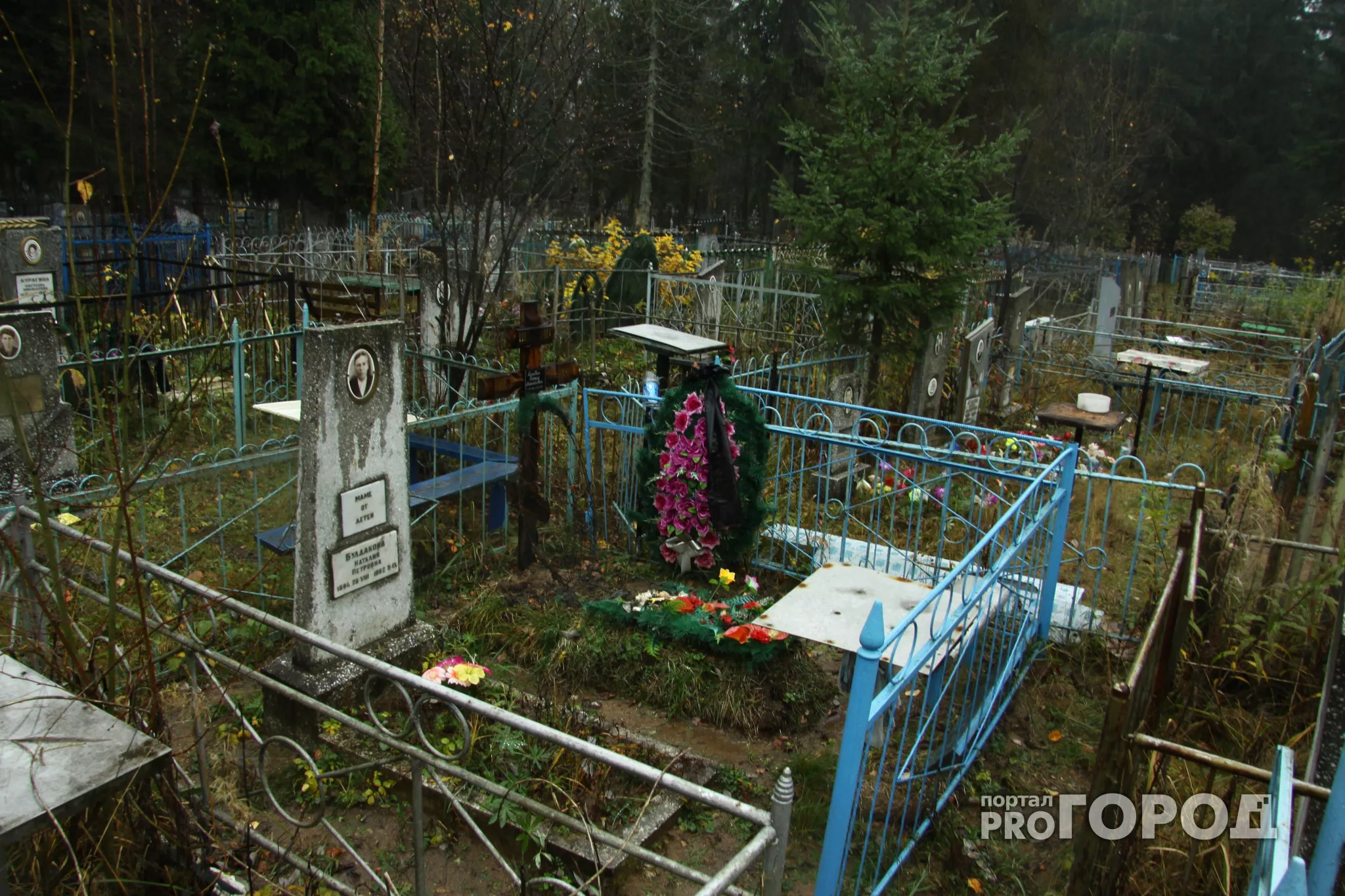 Фото к статье: В Алатырском районе поймали кладбищенского вора