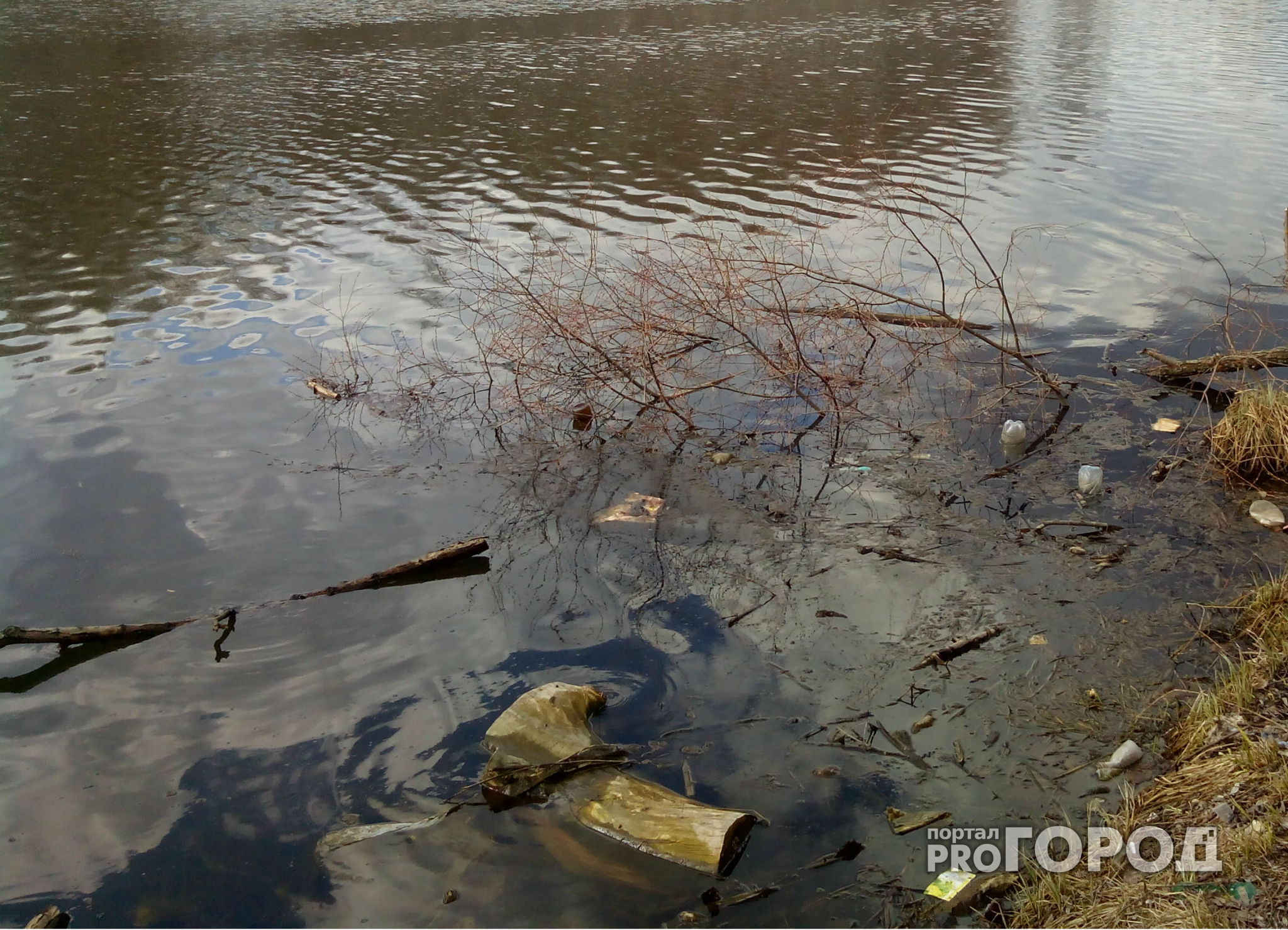 В Чебоксарском районе из пруда вытащили тело утопленника