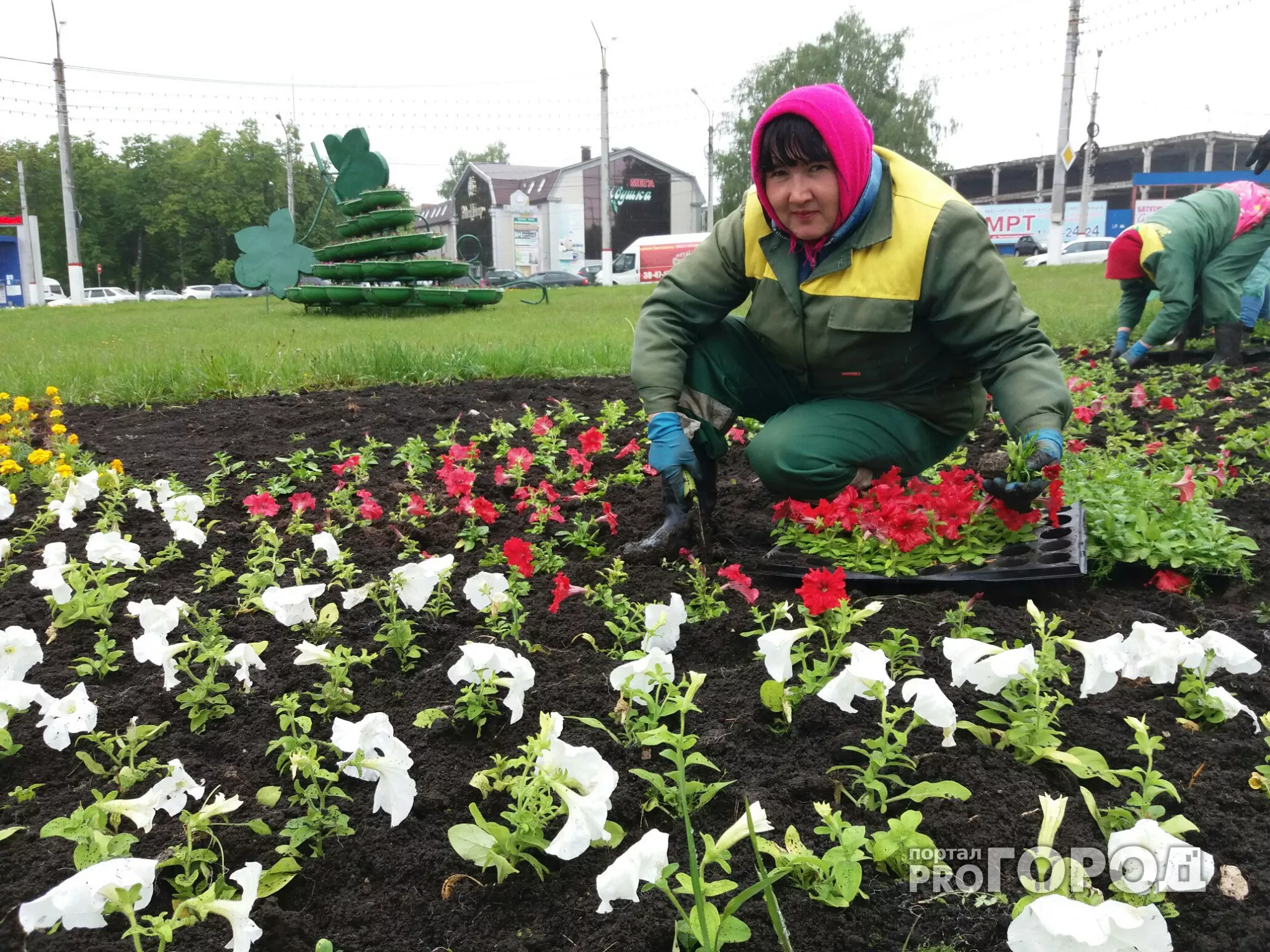 Фото к статье: Озеленитель из Чебоксар поведала о своей самой главной мечте