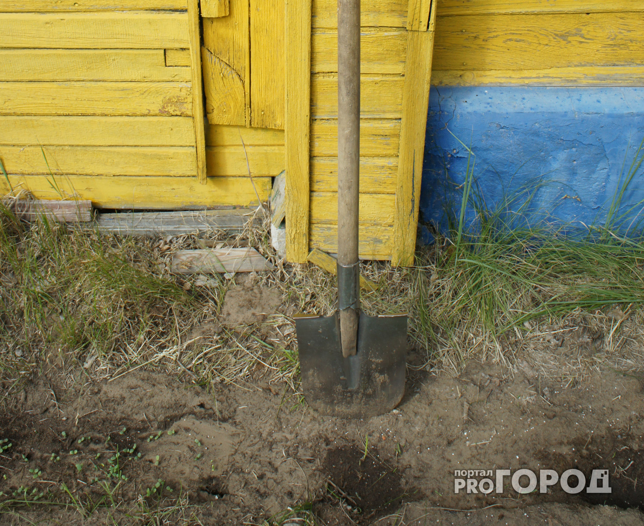 В Новочебоксарске утром на женщину напали со спины и ударили лопатой по голове
