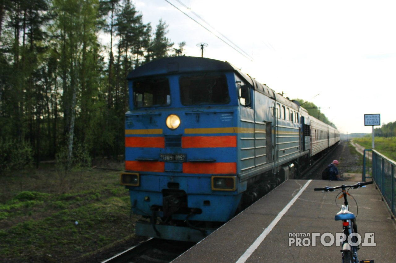 В Козловском районе поезд задавил женщину