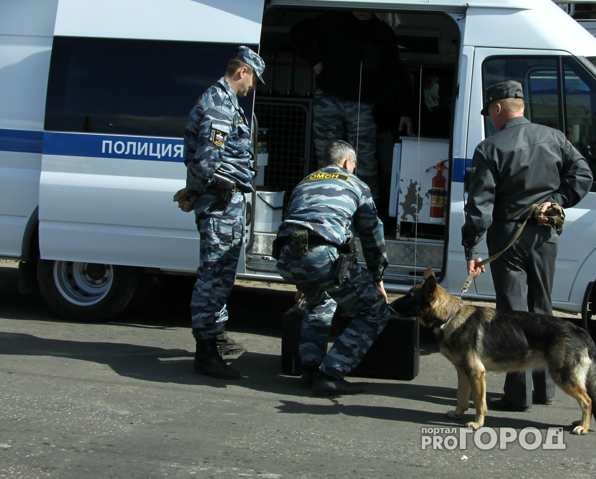 В Чебоксарах в Берендеевский лес вызвали спецслужбы из-за гранаты