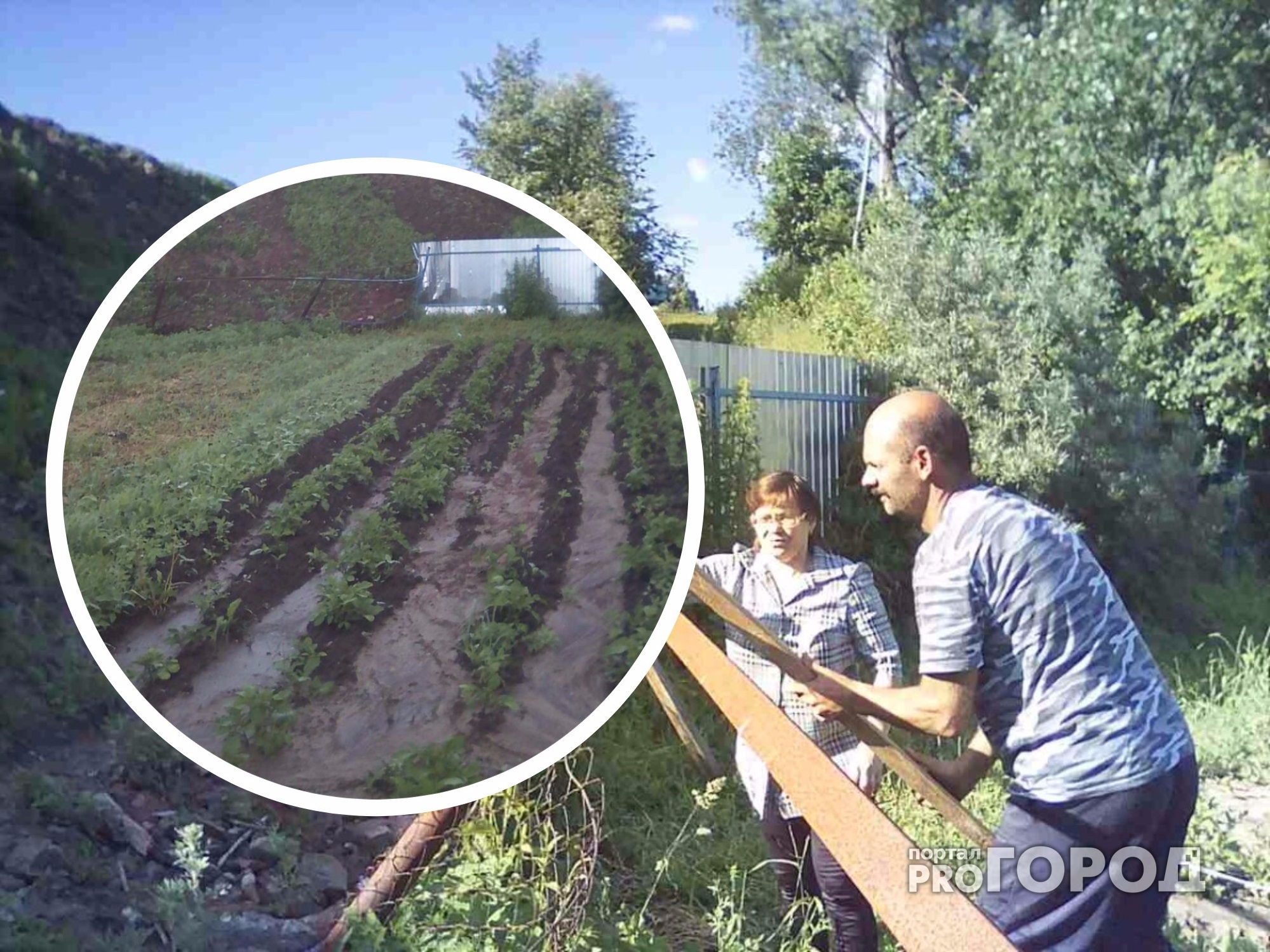 В Моргаушском районе новая дорога лишает жителей урожая