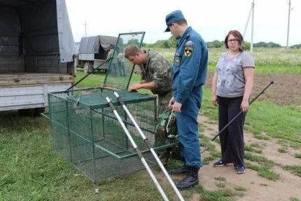 Фото к статье: Под Рязанью ищут цирковую обезьяну, укусившую местную жительницу