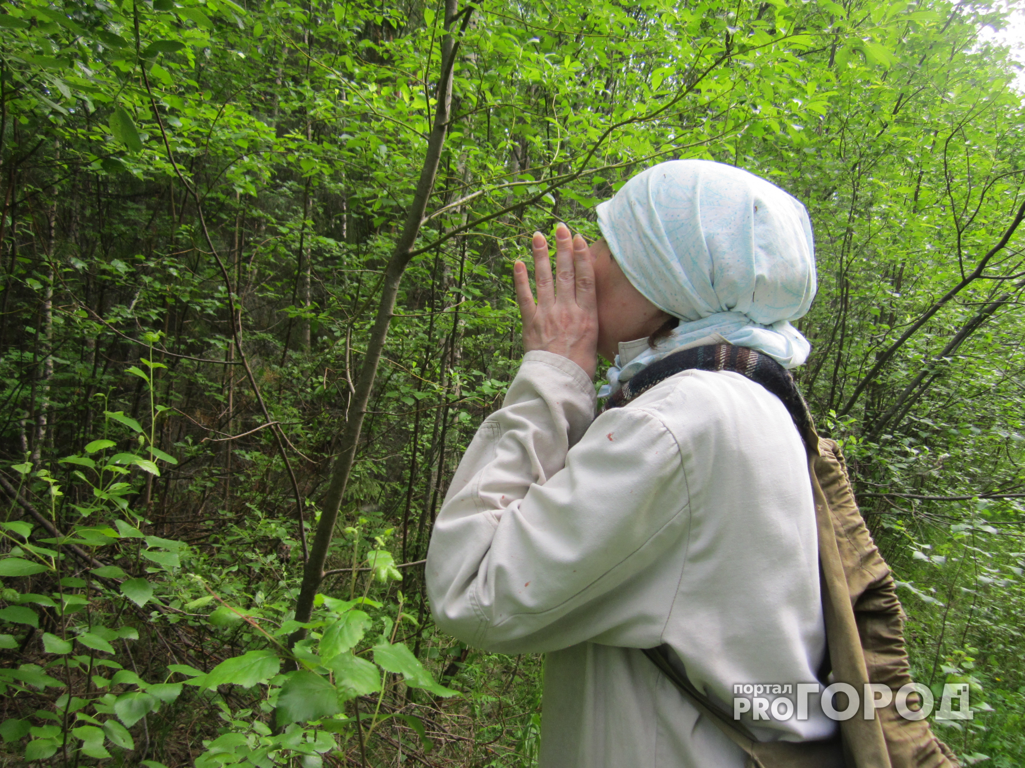 В чувашском лесу заблудились двое взрослых и ребенок