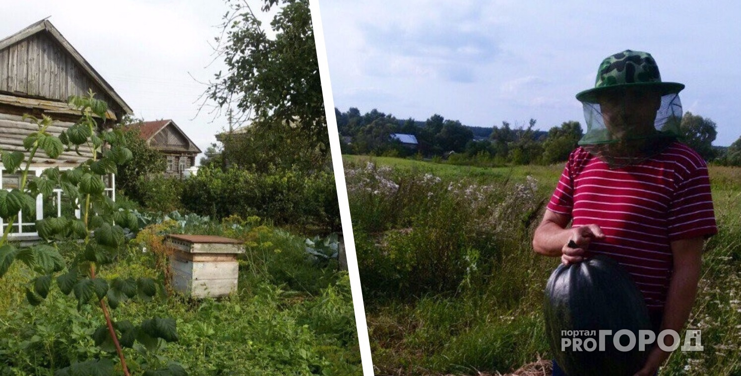В Чувашии мужчина попал в больницу из-за укусов соседских пчел