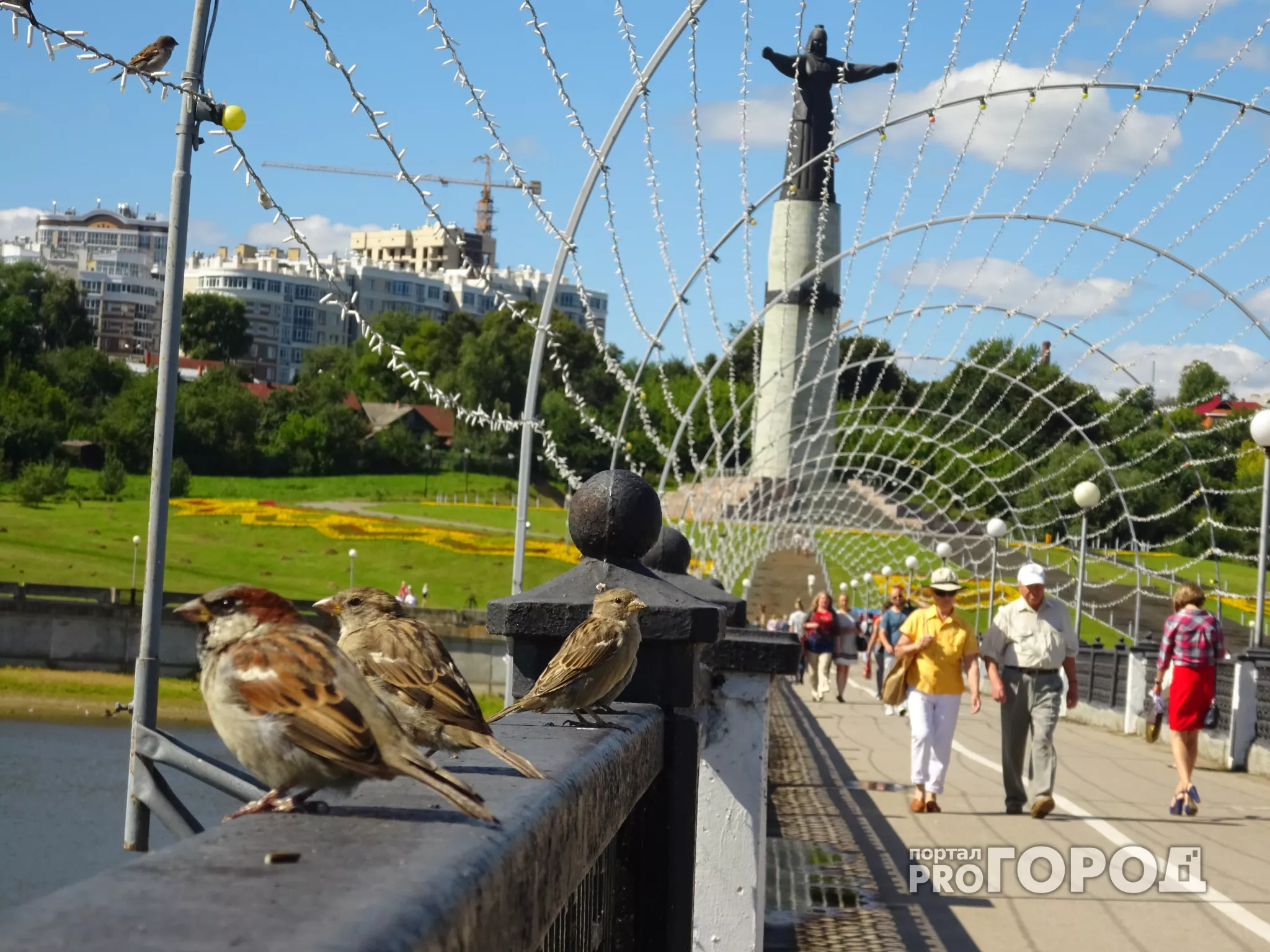 Фото к статье: Стало известно, насколько потеплеет в Чувашии во вторник