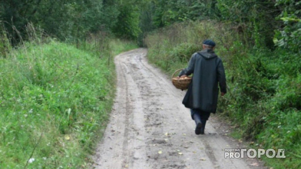 Охотники обнаружили в заволжских лесах жителя Новочебоксарска