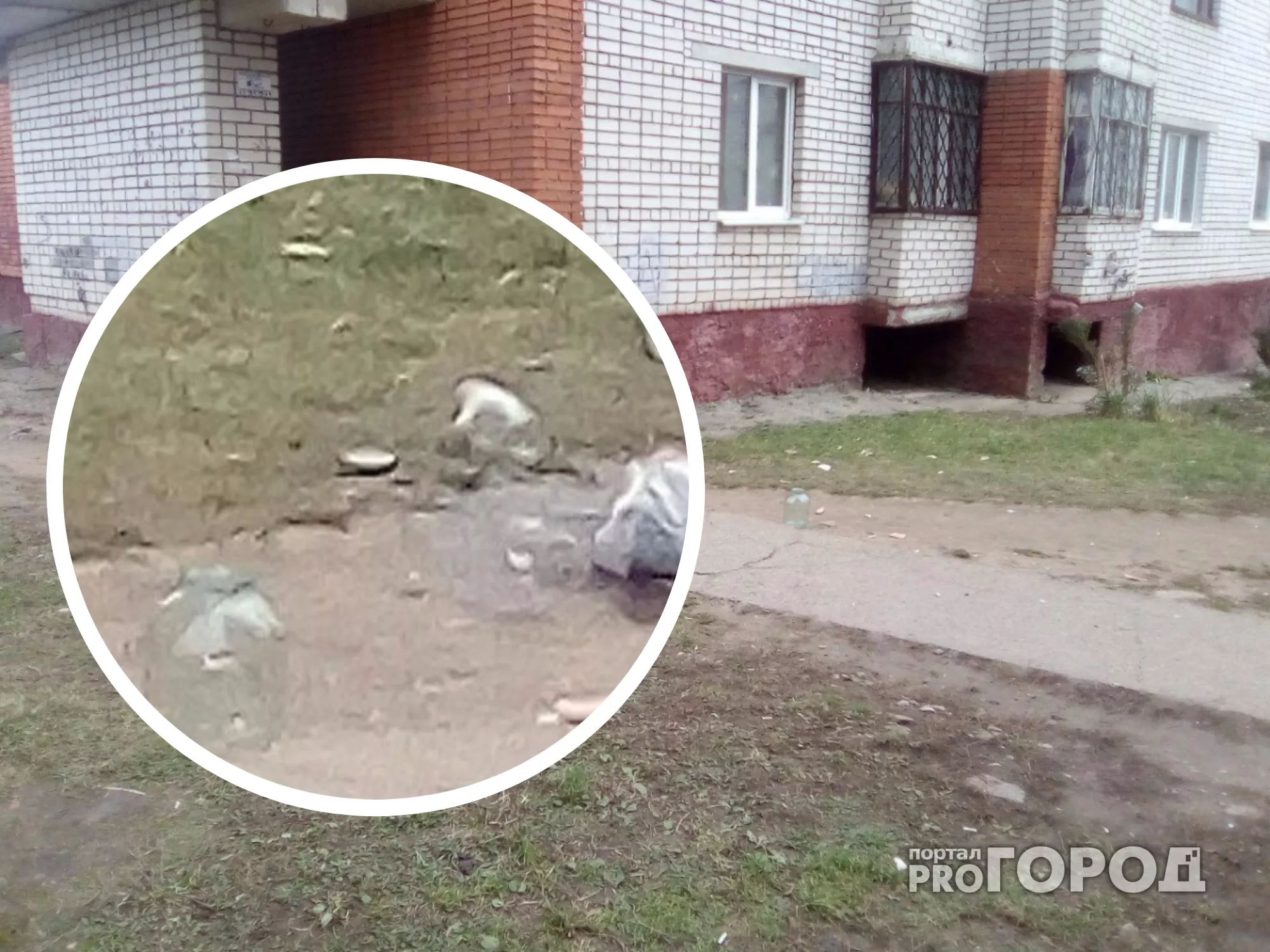 Фото к статье: В Новочебоксарске из окна 5 этажа в прохожих летели трехлитровые банки
