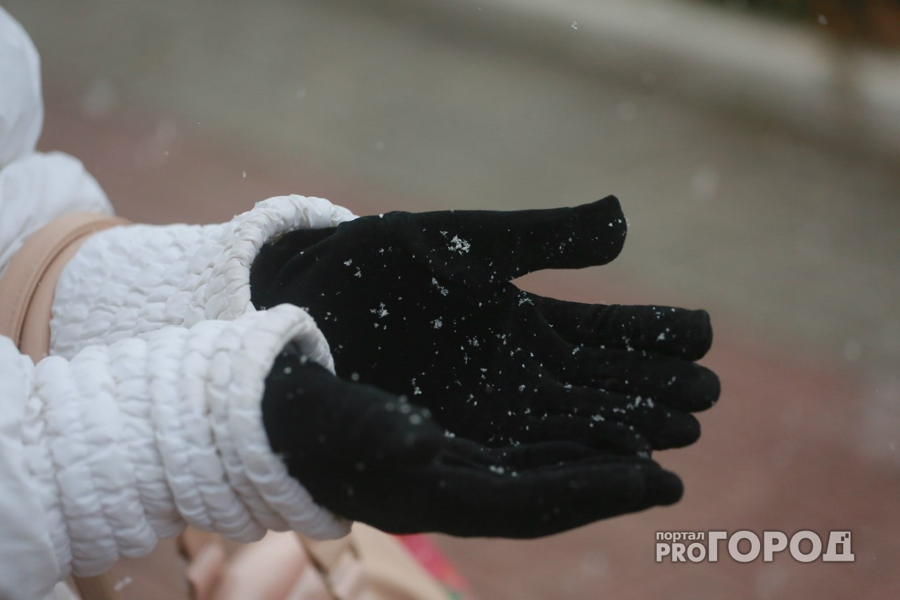 В Чувашии на День народного единства ожидается мокрый снег