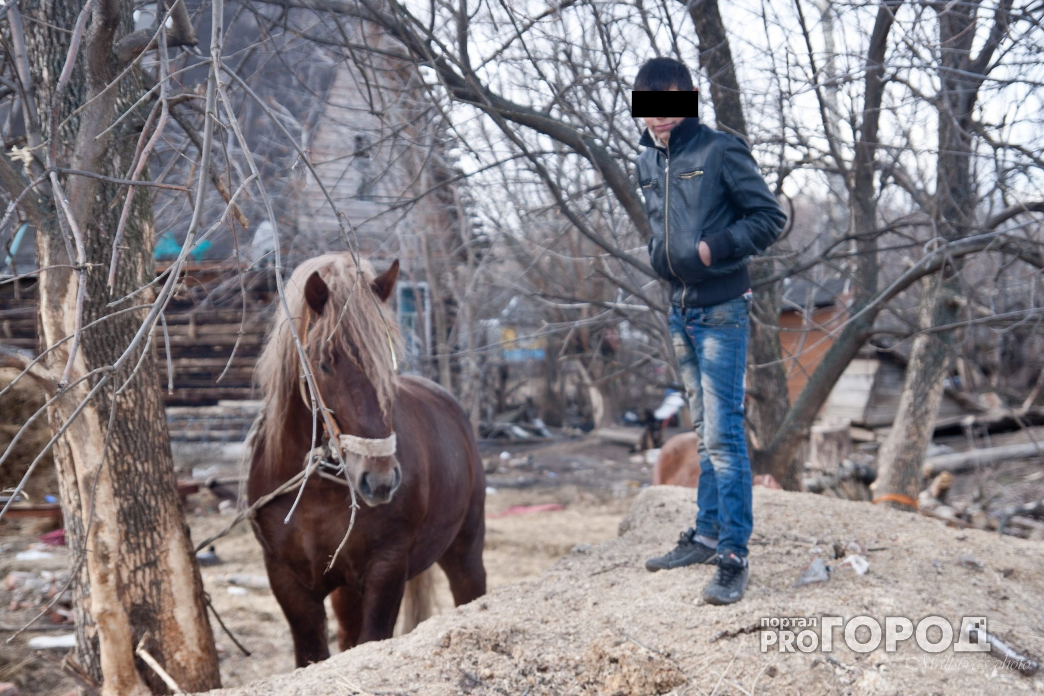 В Красноармейском районе ребенок ускакал от приставов на лошади