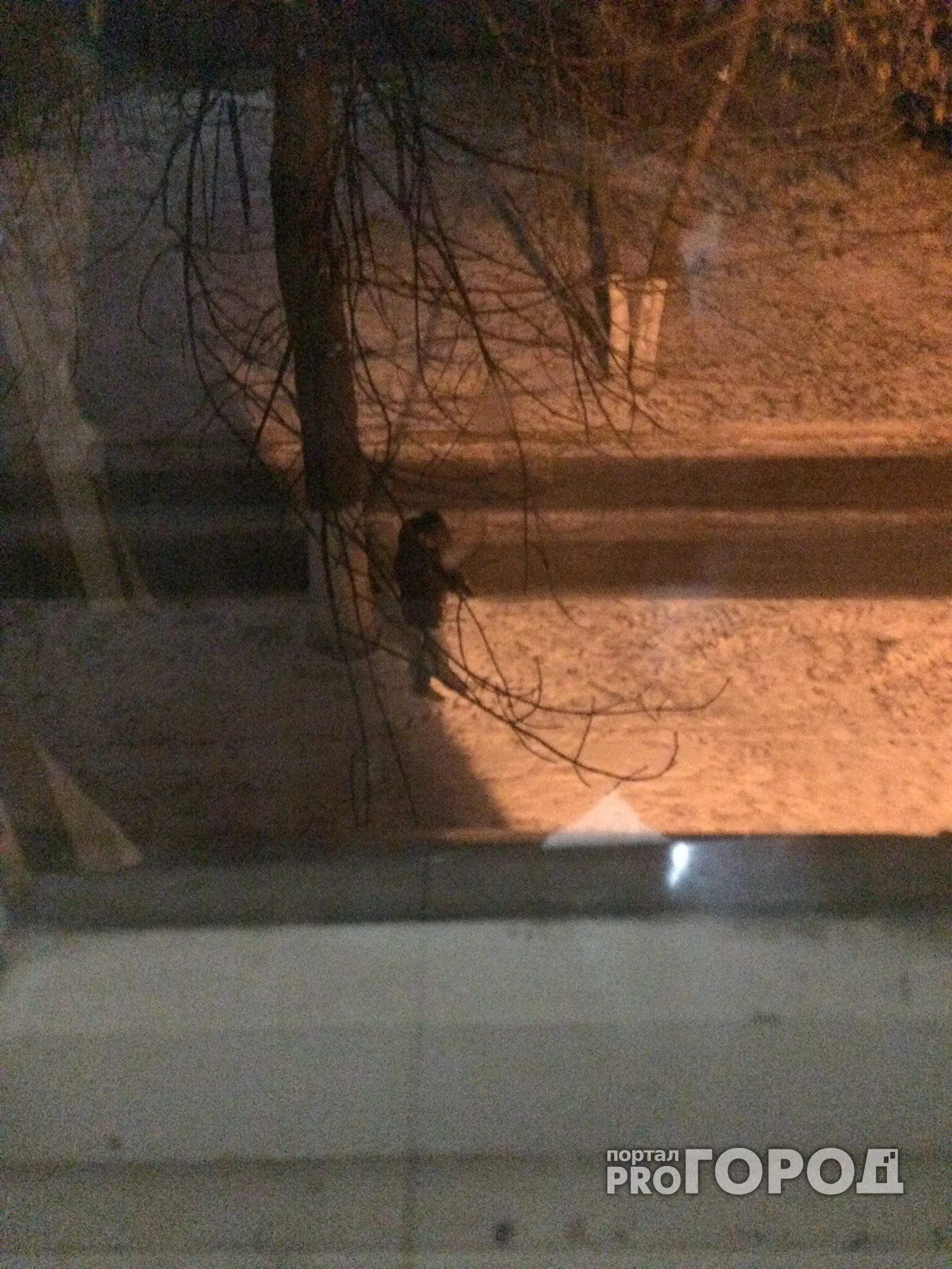 Фото к статье: В Чебоксарах стало известно наказание для онаниста, пугавшего студенток