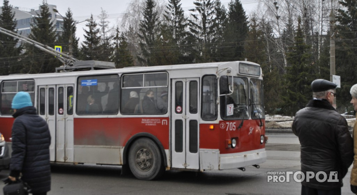 В преддверии Нового года в Чебоксарах повысят плату за проезд в троллейбусах
