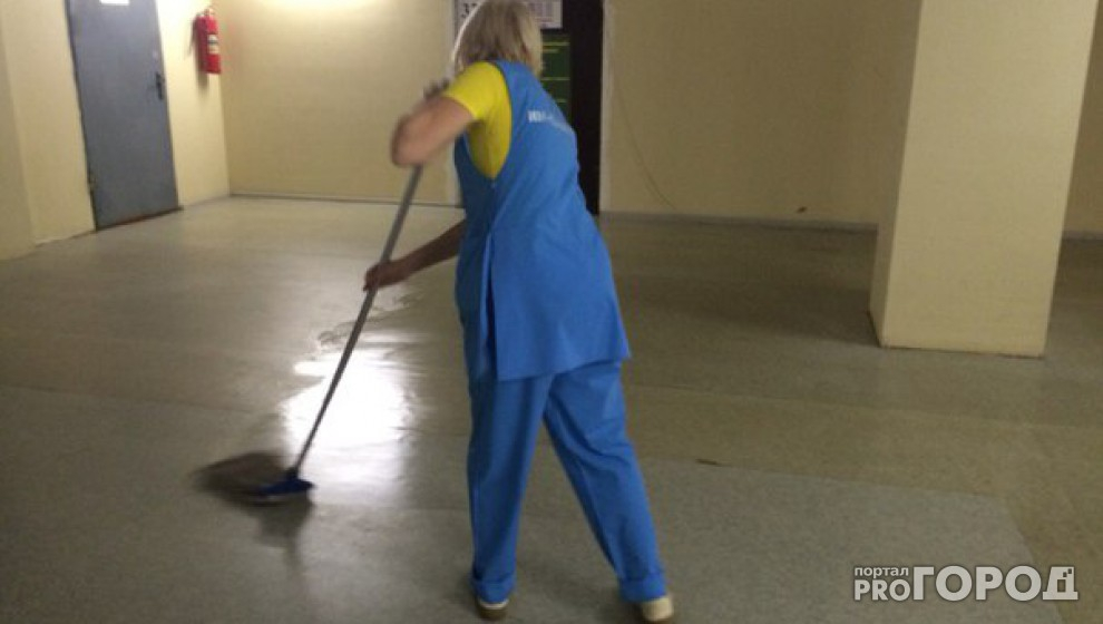 В Урмарском районе директора школы лишили иномарки из-за несуществующей уборщицы