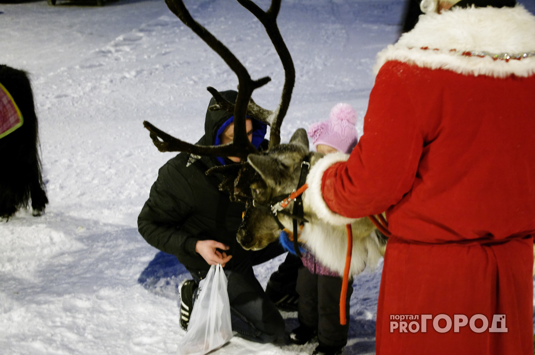 Жителей Чувашии просят остерегаться некоторых Дедов Морозов