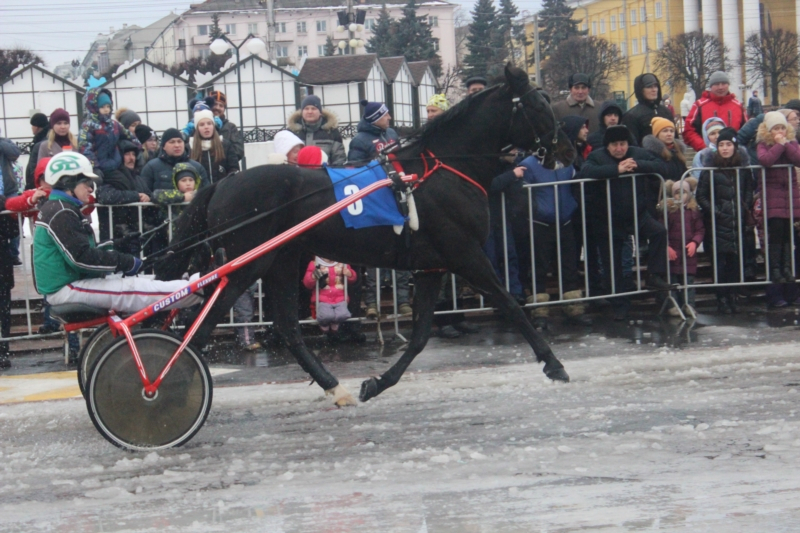 В Чебоксарах на первых конных бегах победил участник под "счастливым" номером