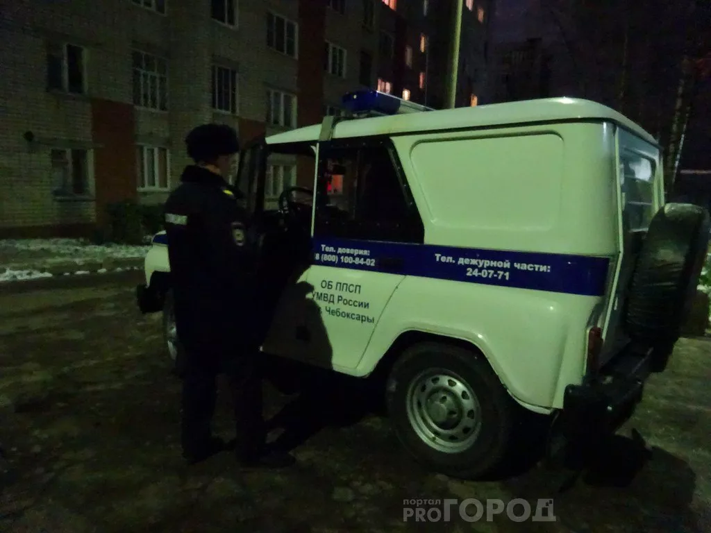 Фото к статье: В Чувашии ищут мать, бросившую новорожденного ребенка умирать