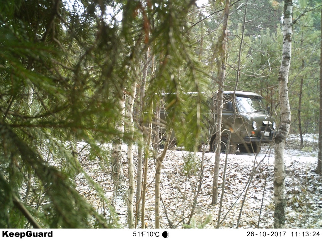 В Чувашии нарушителей в лесу фотографирует специальная ловушка