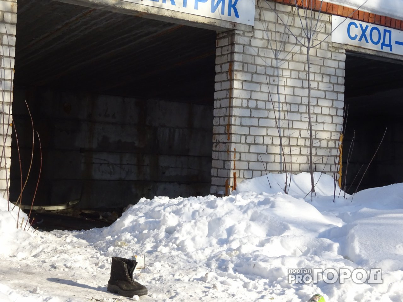 Подробности о найденном человеческом черепе рассказали на Богданке