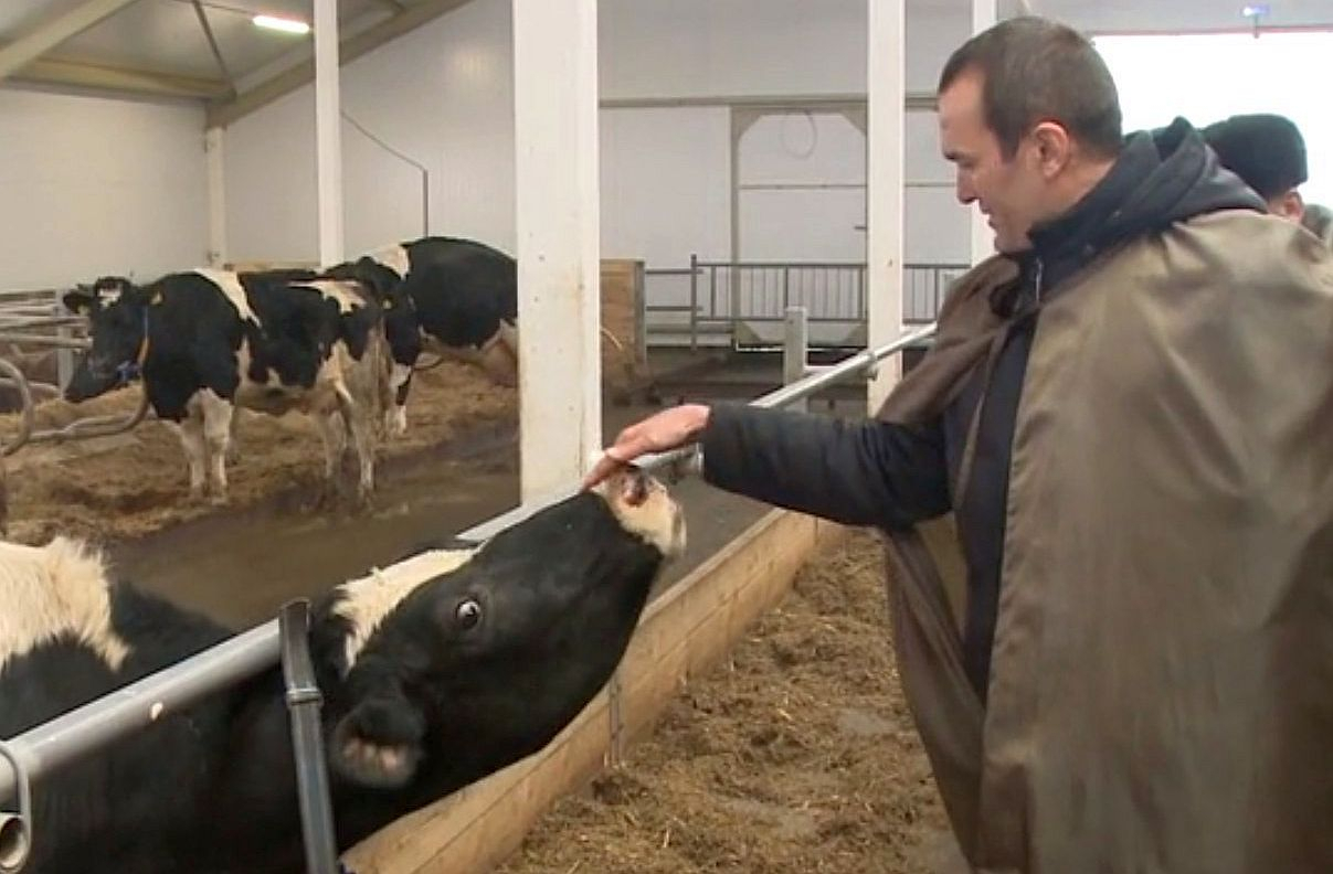 В России запретили ввоз сухого молока из Белоруссии