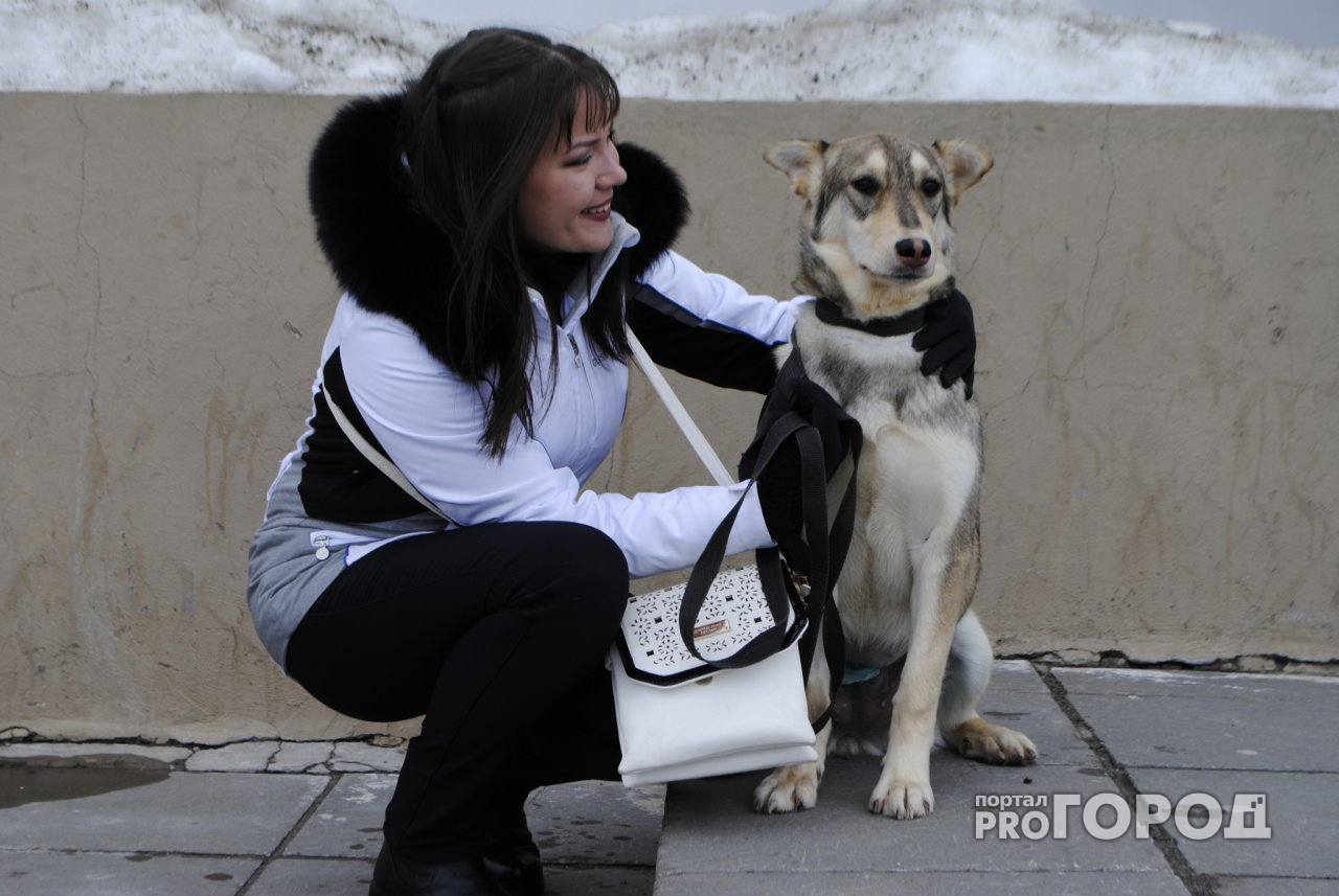 Жители Новочебоксарска спасли от смерти бездомную собаку Люси и подыскивают ей дом