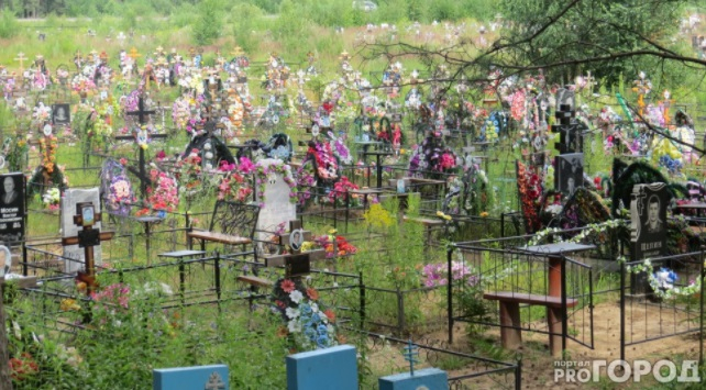 В Чебоксарах на кладбищах будет работать скорая помощь