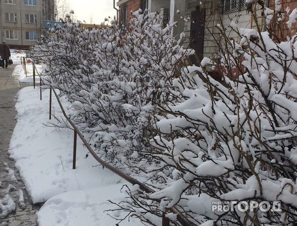 В первый день лета синоптики прогнозируют в Чувашии снег