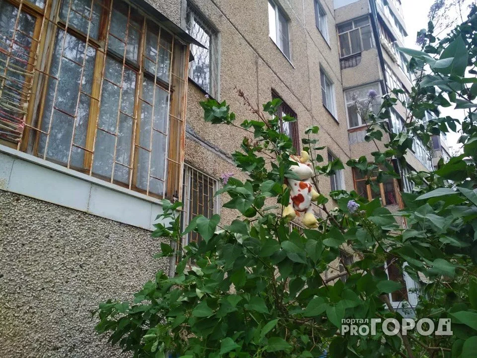 Фото к статье: В Чебоксарах ребенок выпал из окна многоэтажки