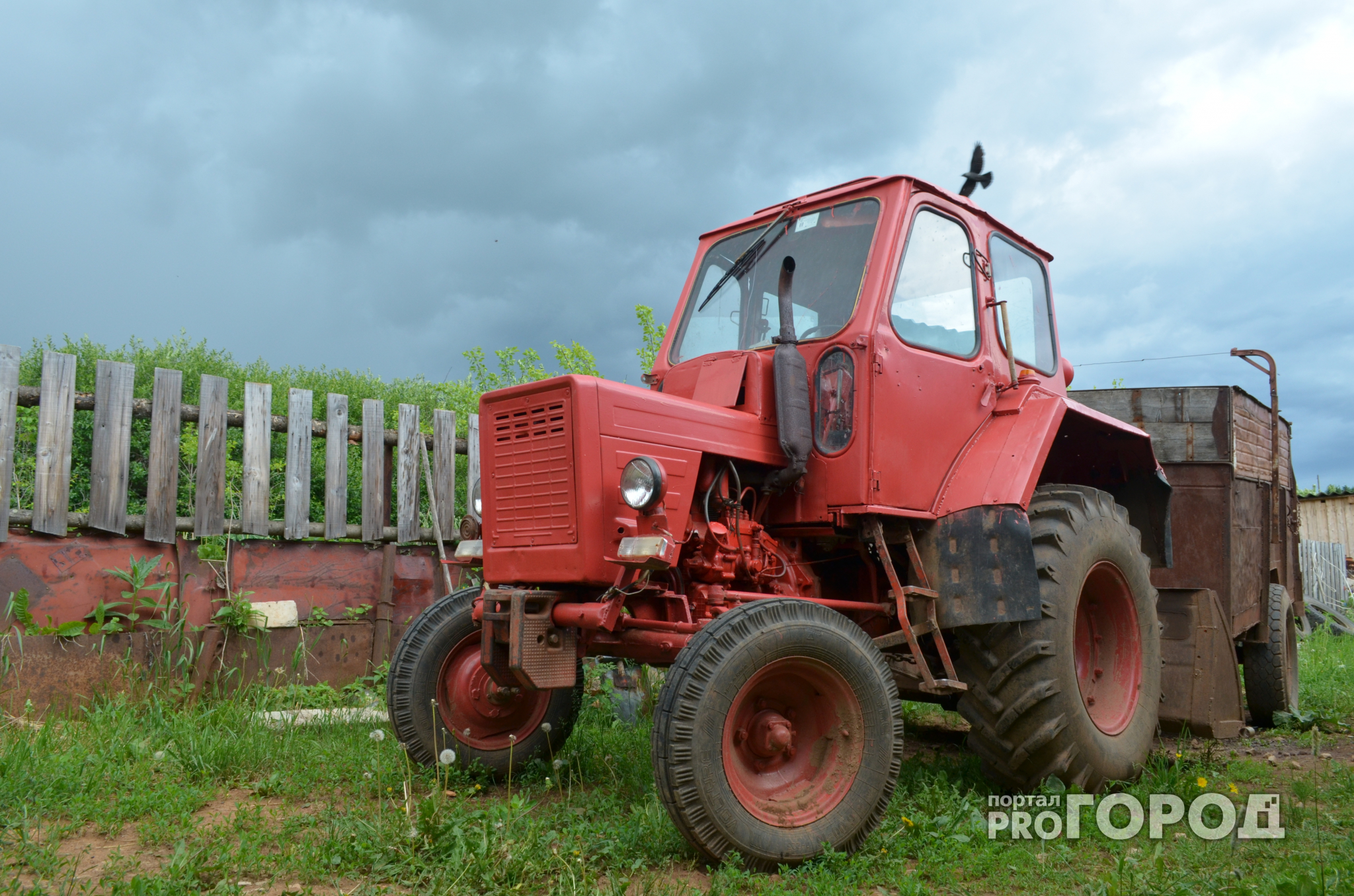 В Чувашии пьяный тракторист раздавил работавшего в поле мужчину