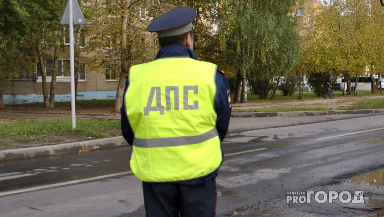 В Новочебоксарске наказали пьяного водителя, который укусил сотрудника ГИБДД