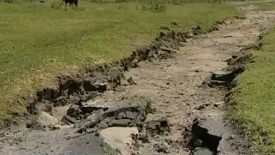 Град размером с перепелиное яйцо уничтожил будущий урожай в Яльчикском районе