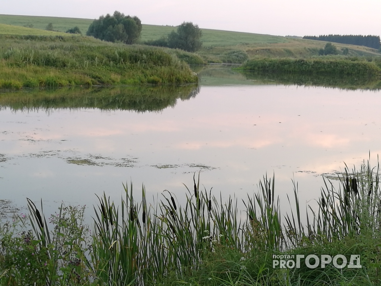 В Козловском районе утонул велосипедист, который решил охладиться в жару