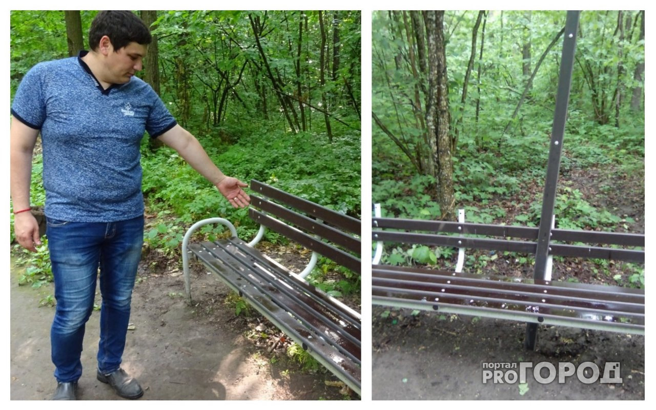 Хулиганы сломали новые скамейки в Ельниковской роще