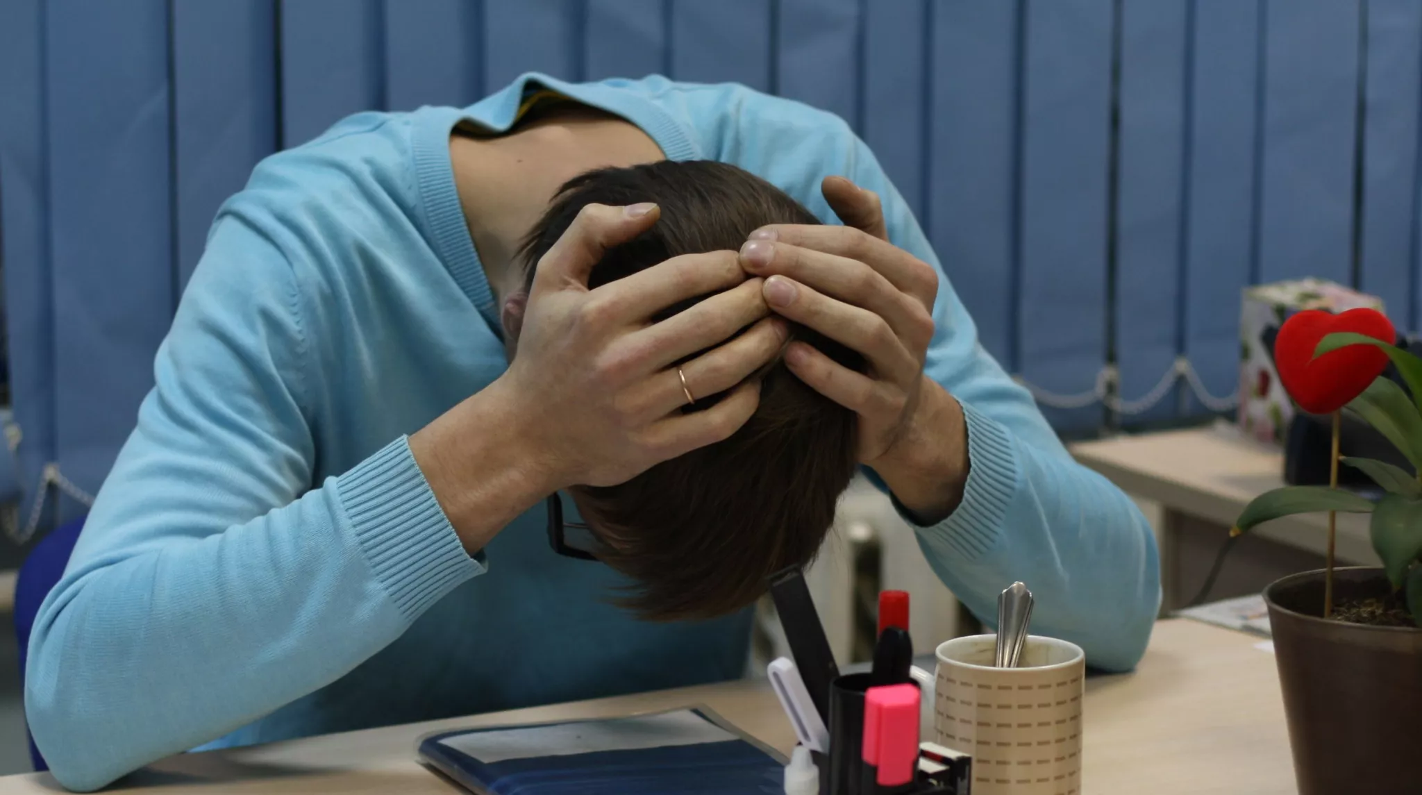 Фото к статье: В Чебоксарах бесплатно помогут жертвам финансовых аферистов