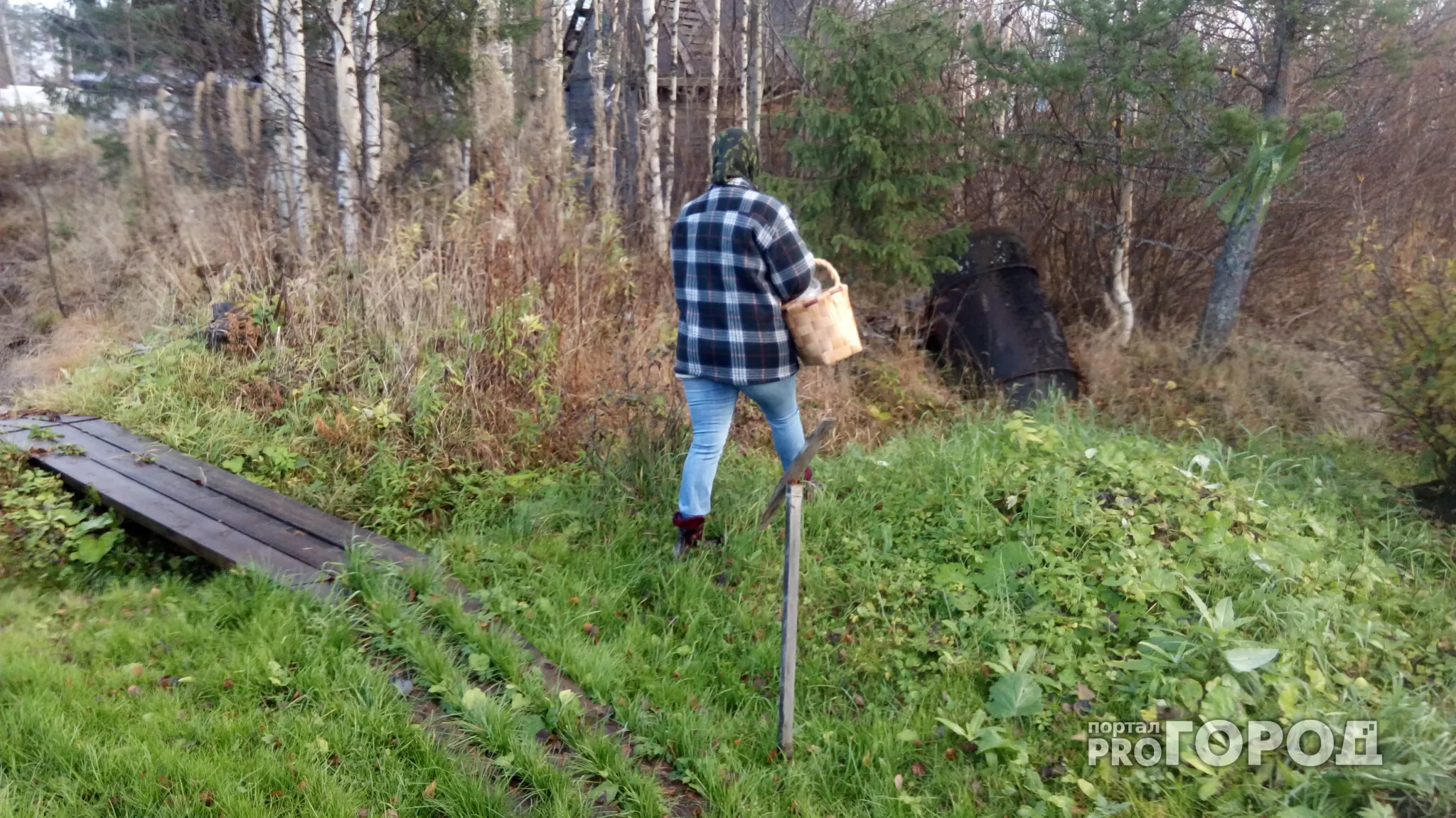 Фото к статье: В марийских лесах нашли потерявшуюся жительницу Новочебоксарска
