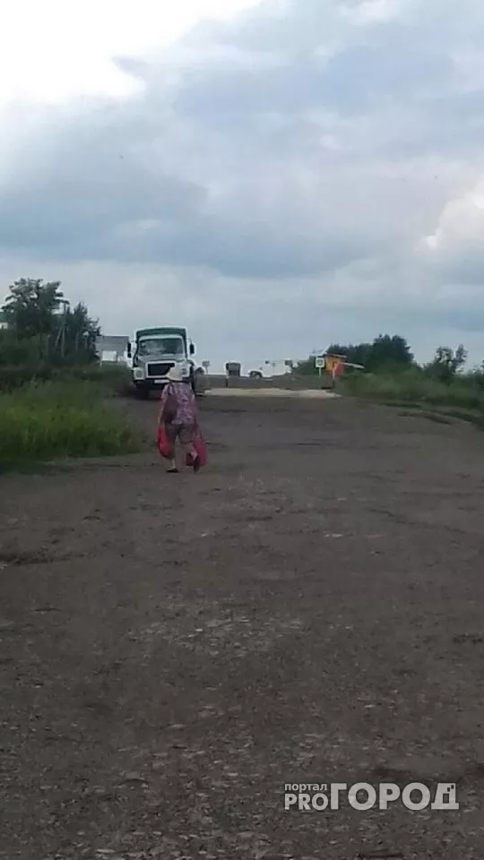 Фото к статье: В Цивильском районе из-за птичьего гриппа закрыли поселок на карантин