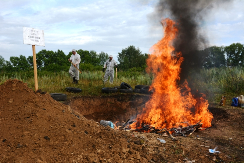 В  Батырево сжигают домашнюю птицу в специальной яме
