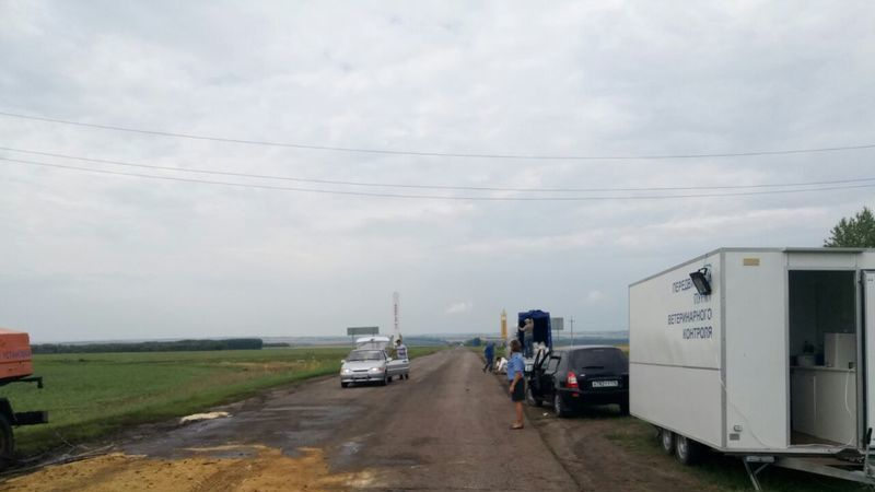 Выезжающие из Чувашии в Татарстан машины останавливают ветеринары и полицейские
