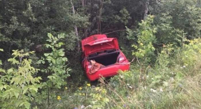 В Чувашии иномарка вылетела в кювет, водитель погиб